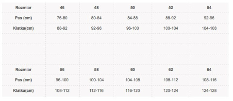 SPODNIE ROBOCZE DO PASA CXS ORION TEODOR CANIS SZARE ze wzmocnieniami na budowę SPODNIE ROBOCZE DO PASA CXS ORION TEODOR CANIS SZARE ze wzmocnieniami na budowę