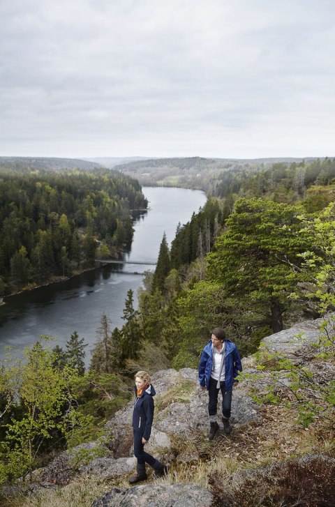 SPORTOWA ODDYCHAJĄCA KURTKA GRIZZLY BROCK