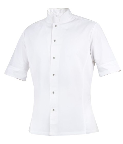 WHITE - 00 WHITE - 00