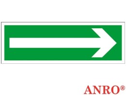 ZNAK BEZPIECZEŃSTWA Z-1E-LP-100x300