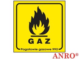 ZNAK BEZPIECZEŃSTWA Z-1G-F-100X100