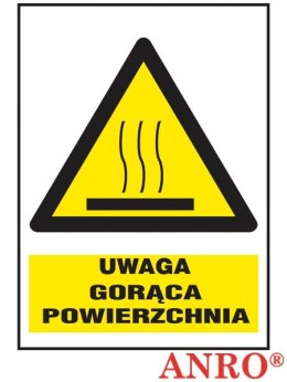 ZNAK BEZPIECZEŃSTWA Z-26O1-P-220x300