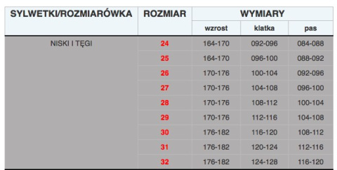 BLUZA ROBOCZA SAPHIR SEVEN KINGS POLSTAR NIEBIESKA MONTERSKA ZE WZMOCNIENIAMI BLUZA ROBOCZA SAPHIR SEVEN KINGS POLSTAR NIEBIESKA MONTERSKA ZE WZMOCNIENIAMI