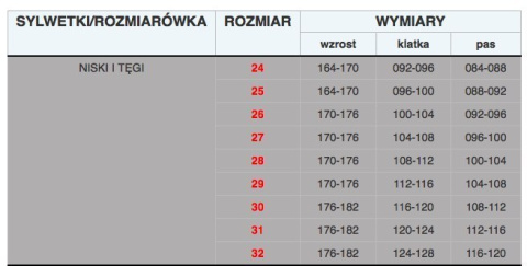 SPODNIE ROBOCZE DO PASA 100% BAWEŁNA BRIXTON SPARK POLSTAR C. STAL SPODNIE ROBOCZE DO PASA 100% BAWEŁNA BRIXTON SPARK POLSTAR C. STAL