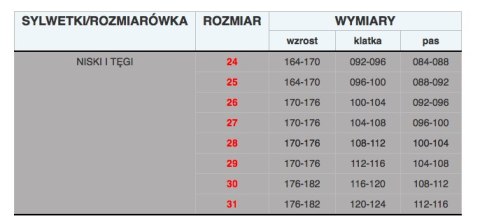 BLUZA ROBOCZA BRIXTON PRACTICAL POLSTAR STALOWA