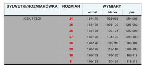 SPODNIE ROBOCZE DO PASA BRIXTON CLASSIC POLSTAR STAL
