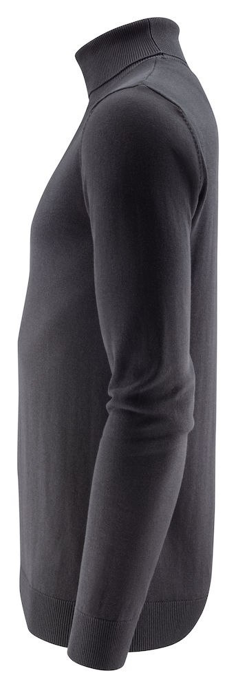 ASHLAND TURTLE ASHLAND TURTLE