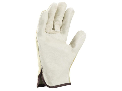 Ardon rękawice ocieplane skórze Hilton Winter Ardon rękawice ocieplane skórze Hilton Winter