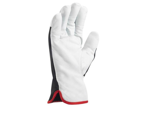 ocieplane rękawice wzmacniane skórą Pony Winter Ardon ocieplane rękawice wzmacniane skórą Pony Winter Ardon