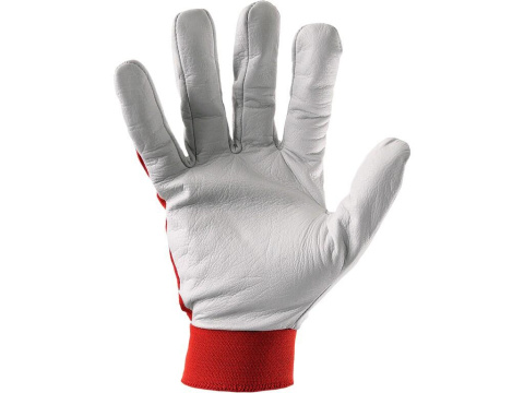 CXS Canis Mike rękawice dziecięce kombiniowane CXS Canis Mike rękawice dziecięce kombiniowane