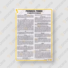 INSTRUKCJA BHP PIERWSZA POMOC W NAGŁYCH WYPADKACH - IA A02 DN CN