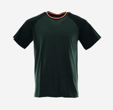 t-shirt roboczy Standard Plus Sara Workwear grafitowo-czarny t-shirt roboczy Standard Plus Sara Workwear grafitowo-czarny