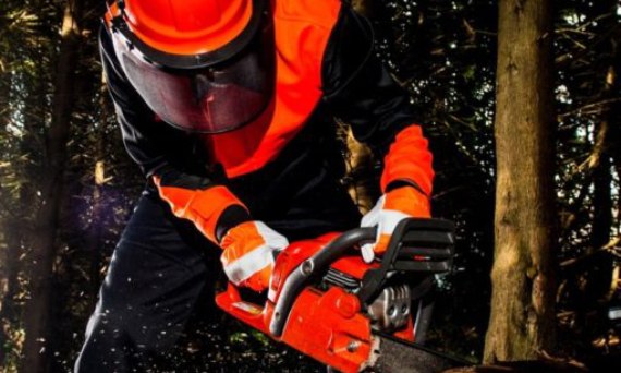 Jak zadbać o bezpieczeństwo podczas wycinki drzew