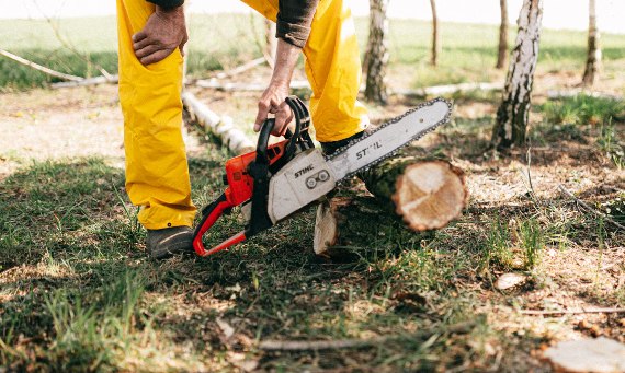 Odzież robocza do lasu.